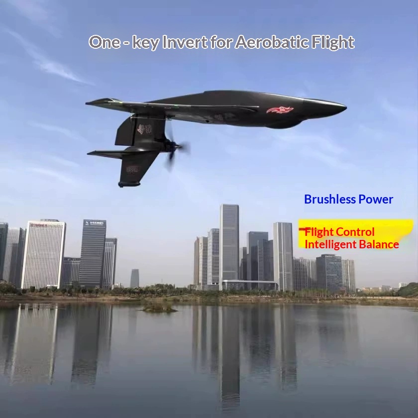 Rc Wing Glider - 6CH RC Vliegtuig H650 Raptor Borstelloze