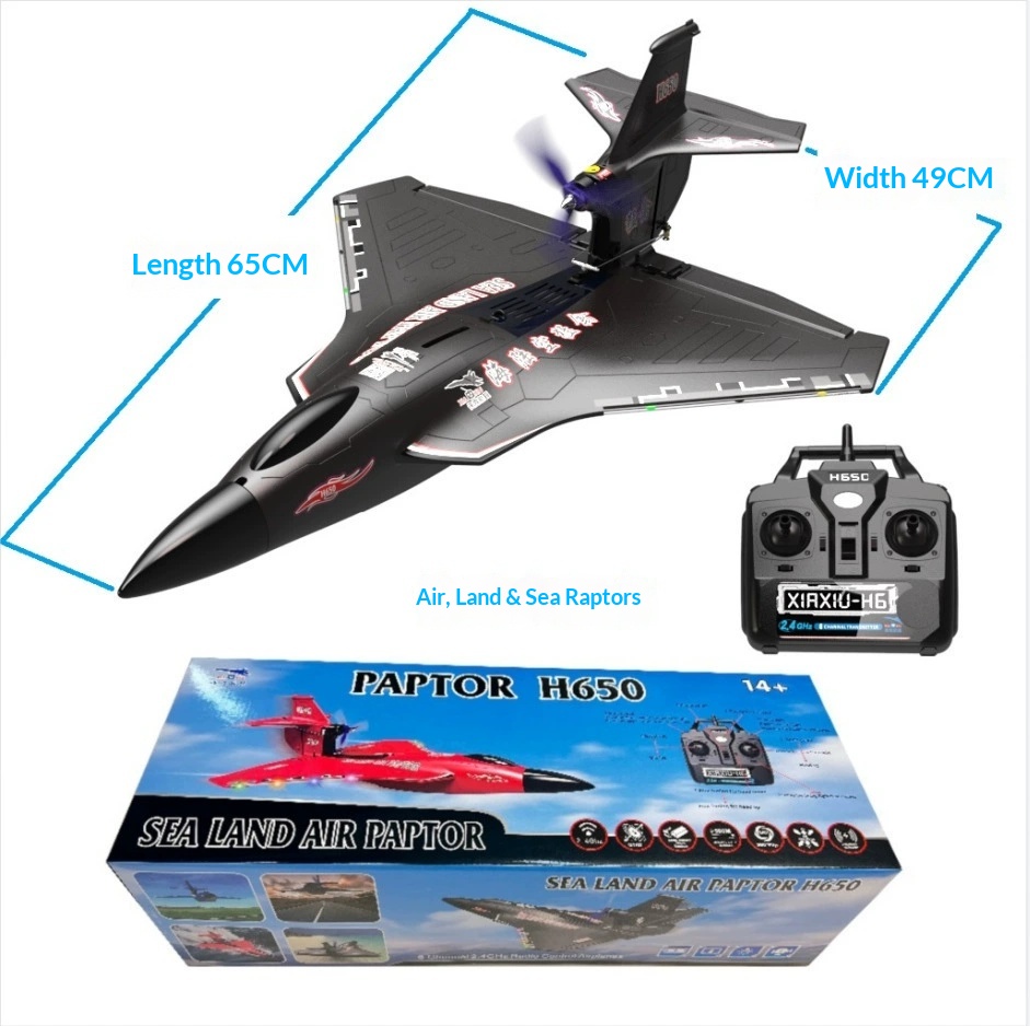 6CH RC Vliegtuig H650 Raptor B - Rc Wing Glider recensie en prijs